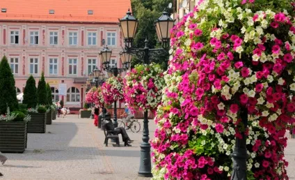 Вертикальні клумби для петунії своїми руками (своїми) Вертикальні клумби для петунії своїми руками