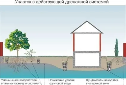 Вертикальний дренаж ділянки технологія облаштування своїми руками (технологія) Вертикальний дренаж ділянки технологія облаштування своїми руками