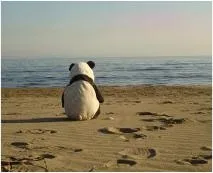 Вибираємо підходяще слово loneliness, solitude, lonesomeness, desolation і інші (навчання англійської мови по skype) Вибираємо підходяще слово loneliness, solitude, lonesomeness, desolation і інші