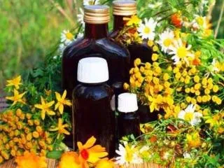 Вибираємо рослинне масло (здорове й лікувальне харчування) (здорове харчування лікувальне харчування рослинне масло оливкове масло кукурудзяне масло соняшникове масло вітаміни вітамін а) Вибираємо рослинне масло (здорове й лікувальне харчування)