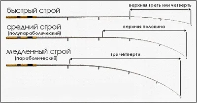 Вибір фідера - ловля на фідер ( «зброю» основному інструменті рибалки) Вибір фідера - ловля на фідер