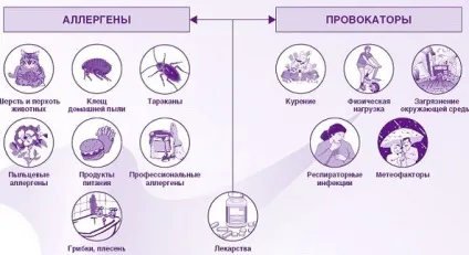 Види і форми бронхіальної астми