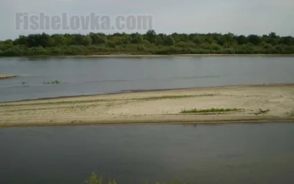 Вибираємо кращі раттлин на щуку класифікація приманок, топ щучих моделей (щуку) Вибираємо кращі раттлин на щуку класифікація приманок, топ щучих моделей