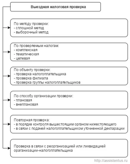 Виїзна податкова перевірка