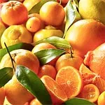 Вітамін p, в яких продуктах міститься вітамін p, роль і значення вітаміну p, недолік і надлишок (вітамін) Вітамін p, в яких продуктах міститься вітамін p, роль і значення вітаміну p, недолік і надлишок