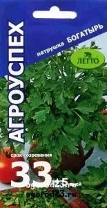 Вирощування петрушки, корисні властивості, сорти, зберігання (вирощування) Вирощування петрушки, корисні властивості, сорти, зберігання