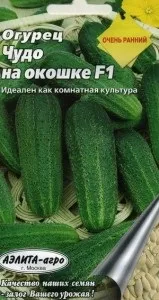 Вирощування кімнатних огірків взимку на підвіконні, балконі і теплиці (огірків) Вирощування кімнатних огірків взимку на підвіконні, балконі і теплиці