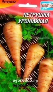 Вирощування петрушки, корисні властивості, сорти, зберігання (сорти) Вирощування петрушки, корисні властивості, сорти, зберігання
