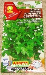 Вирощування петрушки, корисні властивості, сорти, зберігання (властивості) Вирощування петрушки, корисні властивості, сорти, зберігання