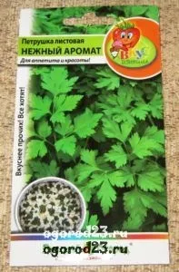 Вирощування петрушки, корисні властивості, сорти, зберігання (властивості) Вирощування петрушки, корисні властивості, сорти, зберігання