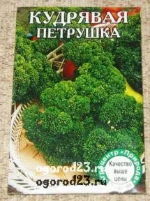 Вирощування петрушки, корисні властивості, сорти, зберігання (властивості) Вирощування петрушки, корисні властивості, сорти, зберігання