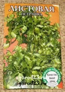 Вирощування петрушки, корисні властивості, сорти, зберігання (петрушки) Вирощування петрушки, корисні властивості, сорти, зберігання