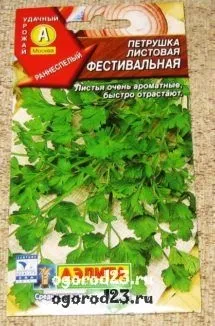 Вирощування петрушки, корисні властивості, сорти, зберігання (властивості) Вирощування петрушки, корисні властивості, сорти, зберігання