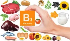 У яких продуктах міститься багато вітаміну рр (яких) У яких продуктах міститься багато вітаміну рр
