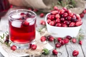 Вино з журавлини в домашніх умовах рецепт як приготувати (домашніх) Вино з журавлини в домашніх умовах рецепт як приготувати