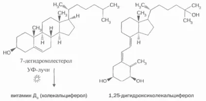 вітамін d