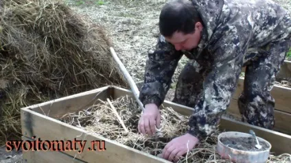 Вирощування насіннєвої картоплі (посадка, догляд, збір і зберігання), все про помідори (томати) - (посадка) Вирощування насіннєвої картоплі (посадка, догляд, збір і зберігання), все про помідори (томати) -