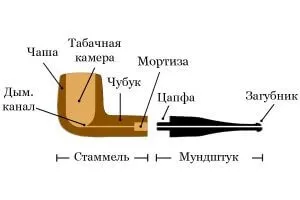 Вплив куріння трубки на організм (куріння) Вплив куріння трубки на організм