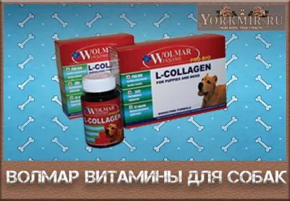 Волмар вітаміни для собак, відгуки, особливості