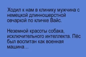 Зустрічаються три подруги