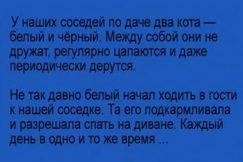 Зустрічаються три подруги