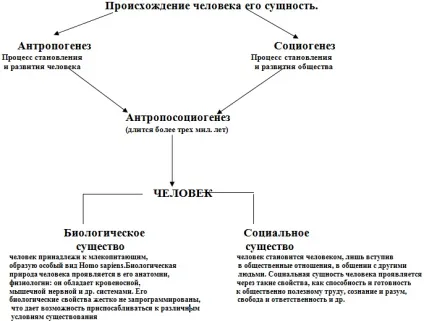 Взаємний вплив процесів антропогенезу і соціогенезу, найбільший портал по навчанню