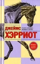 хороший гумор