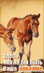 Кульгавість коня, догляд за конем (конем) Кульгавість коня, догляд за конем