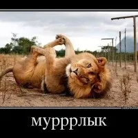 Хочу кинути Джес (хочу) Хочу кинути Джес