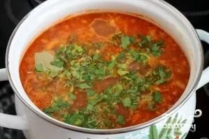 Харчо з помідорами - покроковий рецепт з фото на (харчо) Харчо з помідорами - покроковий рецепт з фото на