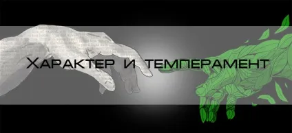 Характер і темперамент, блог 4brain