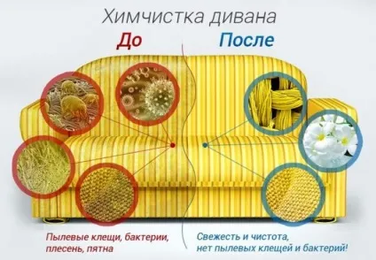 Хімчистка додому все про цю послугу