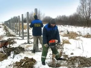 Огорожа з яких матеріалів можна виготовити паркан своїми силами і технологія будівництва (матеріалів) Огорожа з яких матеріалів можна виготовити паркан своїми силами і технологія будівництва