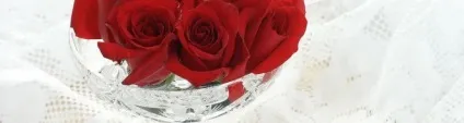 Змова на квіти для сильної любові (сильною) Змова на квіти для сильної любові