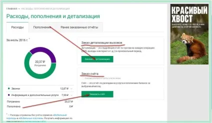 За що знімає гроші оператор мегафон з вашого рахунку інструкція (особистому кабінеті Мегафон) За що знімає гроші оператор мегафон з вашого рахунку інструкція