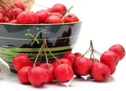 Ягоди глоду - користь і шкода