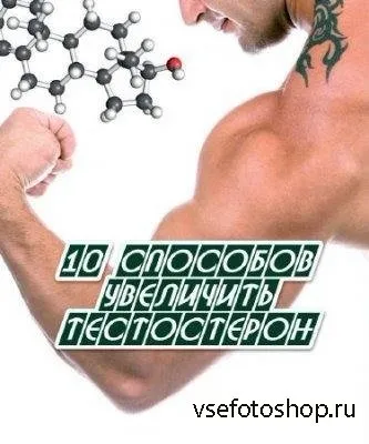 Yokkie - програма для скачування фільмів (2011 (yokkie) Yokkie - програма для скачування фільмів (2011