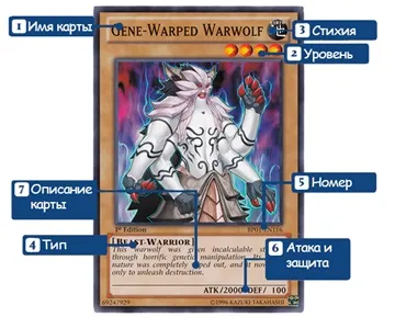 Yu-gi-oh правила
