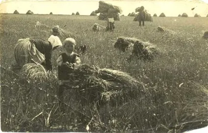 Юрій зайців 1