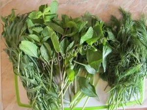 Закуска з сиру з зеленню - приготуй просто і смачно! (Приготуй) Закуска з сиру з зеленню - приготуй просто і смачно!