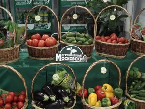 Зао агрокомбінат московський (росія) - крупним планом (день підприємстві працює понад) Зао агрокомбінат московський (росія) - крупним планом