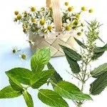 Зелена косметика