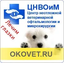 Заворот століття у кішок ентропіон (Виправлення завороту кішок) Заворот століття у кішок ентропіон