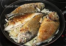 Смажені карасі в сметані - рецепт з покроковими фото (сметані) Смажені карасі в сметані - рецепт з покроковими фото