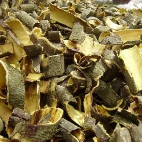 Заворот кишок симптоми і лікування у дорослих і дітей (дорослих) Заворот кишок симптоми і лікування у дорослих і дітей