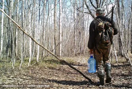 Тварини зони відчуження Чорнобильської аес (зона відчуження) Тварини зони відчуження Чорнобильської аес