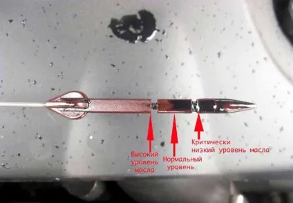 Життя на автоматі