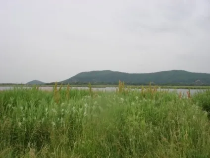 Змееголов, як він є), далекосхідний риболовно-спортивний клуб