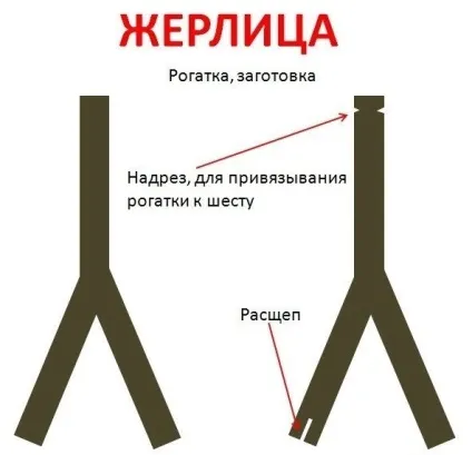 Жерлица на щуку влітку - як правильно зробити, ловля щуки на жерлиці (жерлица) Жерлица на щуку влітку - як правильно зробити, ловля щуки на жерлиці