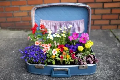 15 чудових ідей з облаштування клумб та квітників, які стануть прикрасою дачі (клумб) 15 чудових ідей з облаштування клумб та квітників, які стануть прикрасою дачі